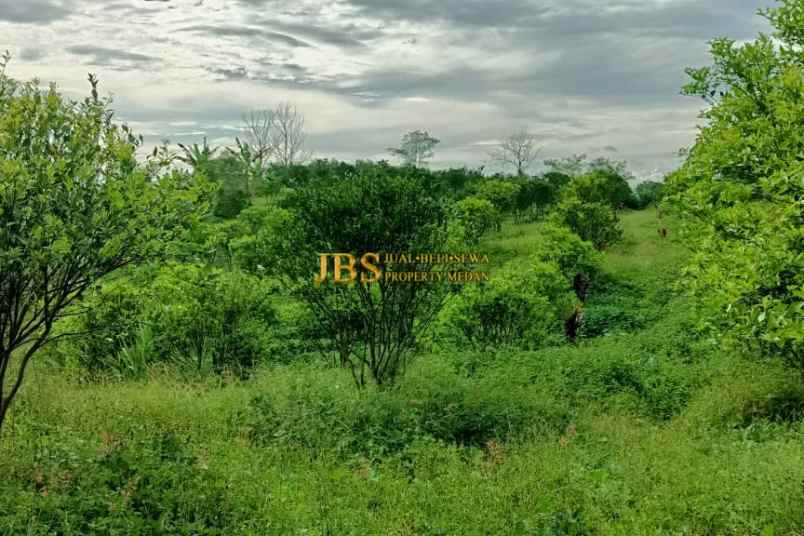 dijual tanah desa guru benua kec munte karo