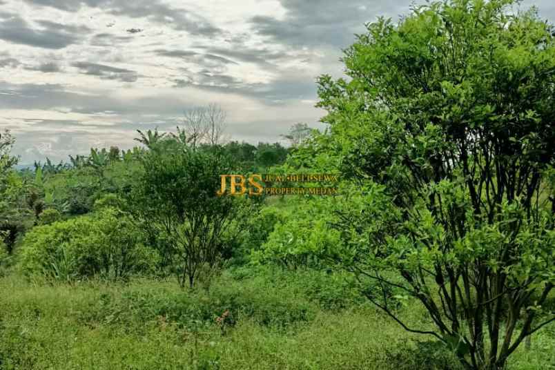 dijual tanah desa guru benua kec munte karo