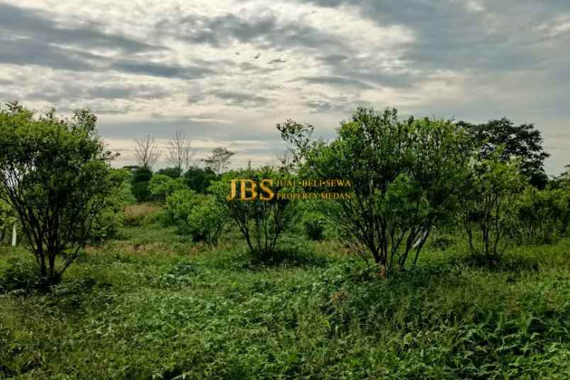 dijual tanah desa guru benua kec munte karo