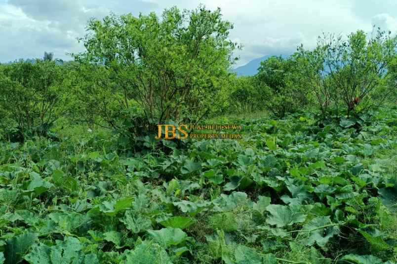 dijual tanah desa guru benua kec munte karo