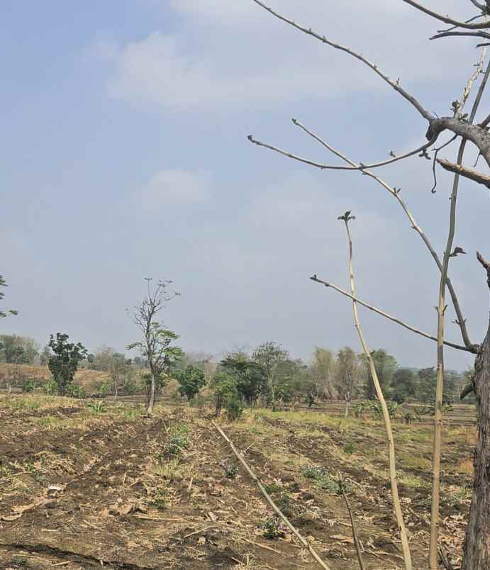 dijual tanah desa slempit kec kedamean