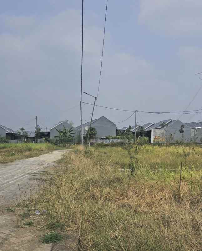 dijual tanah desa slempit kec kedamean