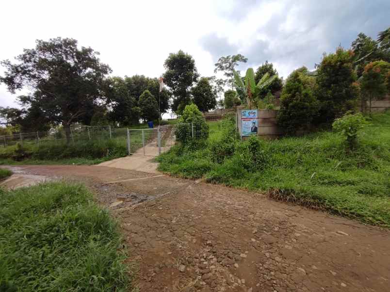 dijual tanah desa tajur halang cijeruk