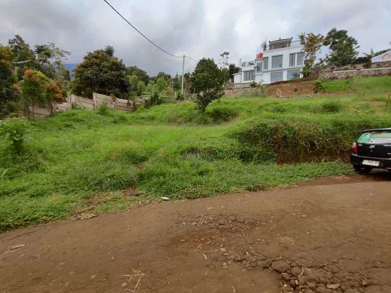 dijual tanah desa tajur halang cijeruk