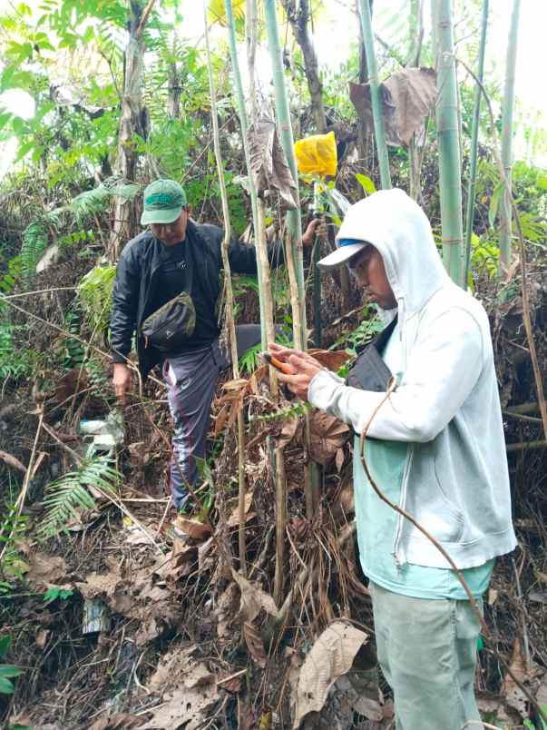 dijual tanah di desa bahomohoni jl blk seblah kanan