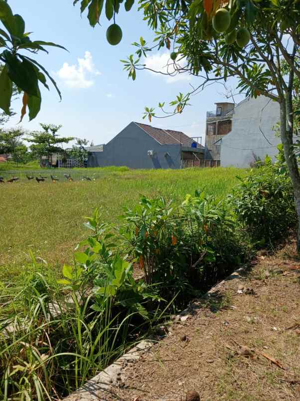 dijual tanah di dinar asri meteseh tembalang semarang