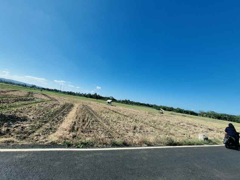 dijual tanah dijual tanah di pamalayan