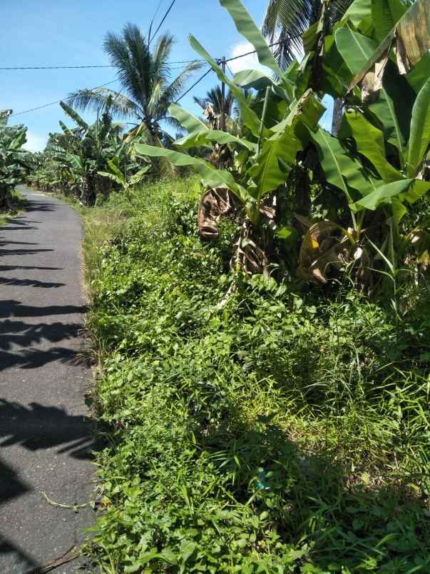 dijual tanah dijual tanah di pinggir jl