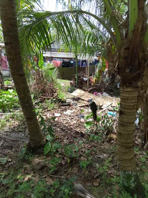 dijual tanah dusun sindangsari rt rw