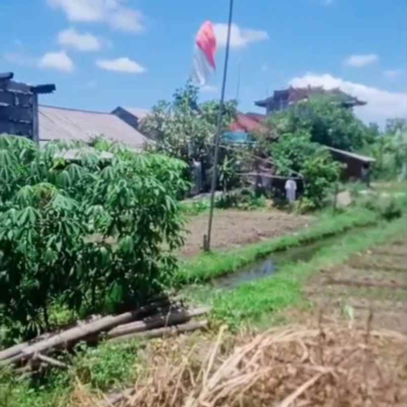 dijual tanah gatsu tengah