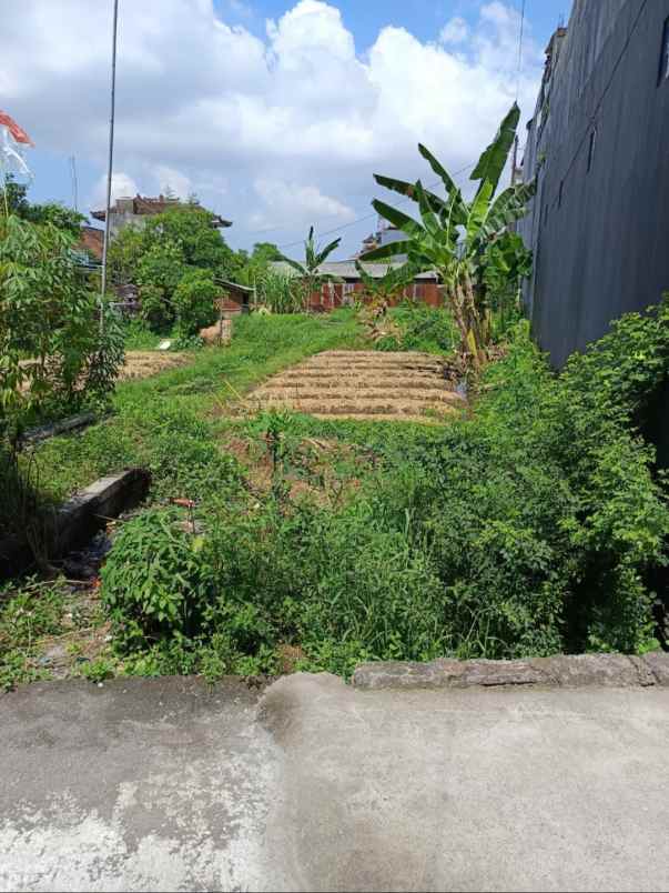 dijual tanah gatsu tengah