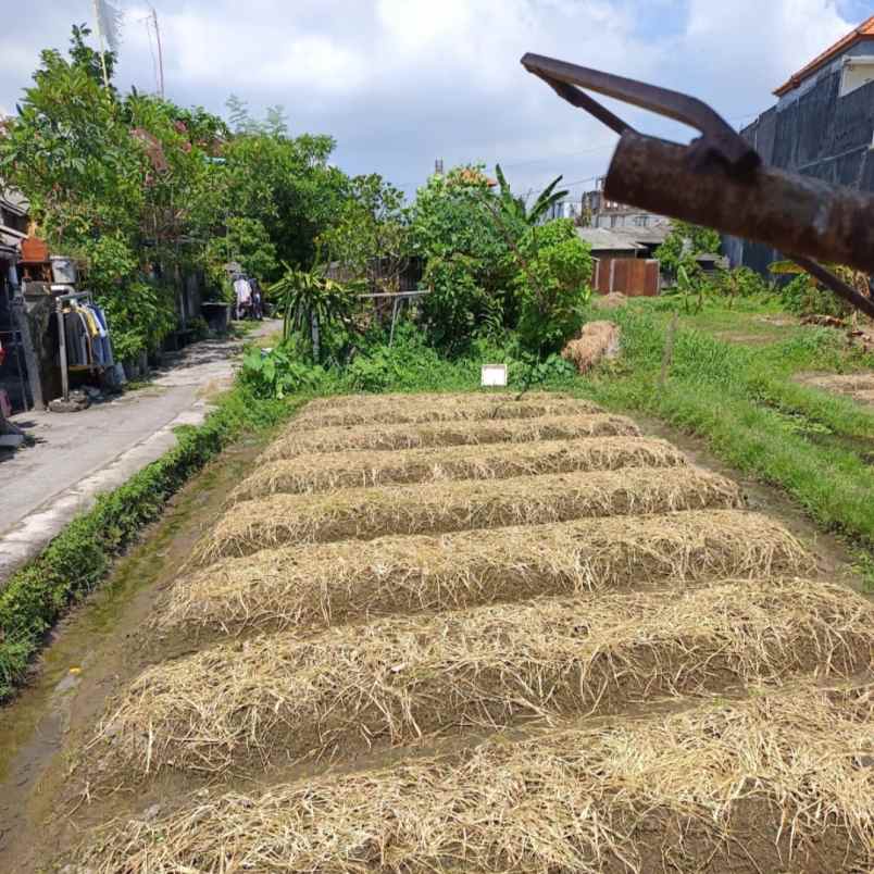 dijual tanah gatsu tengah