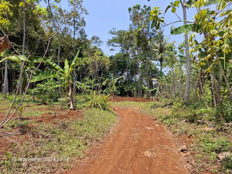 dijual tanah investasi di gunungpati semarang