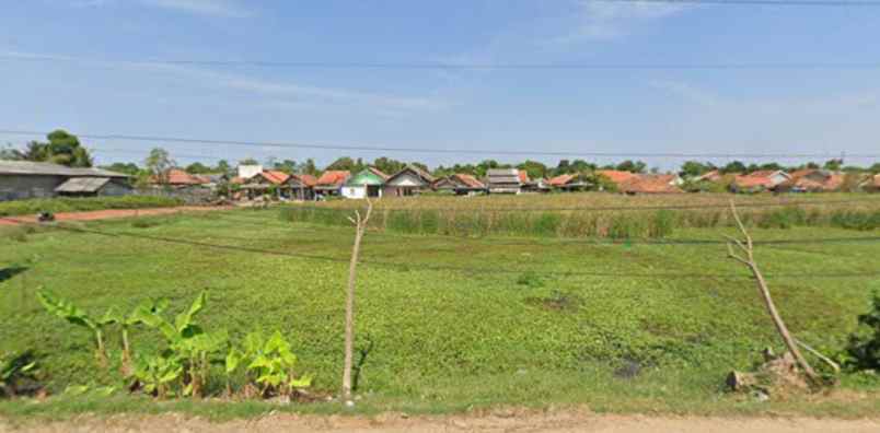 dijual tanah jalan pantura subang