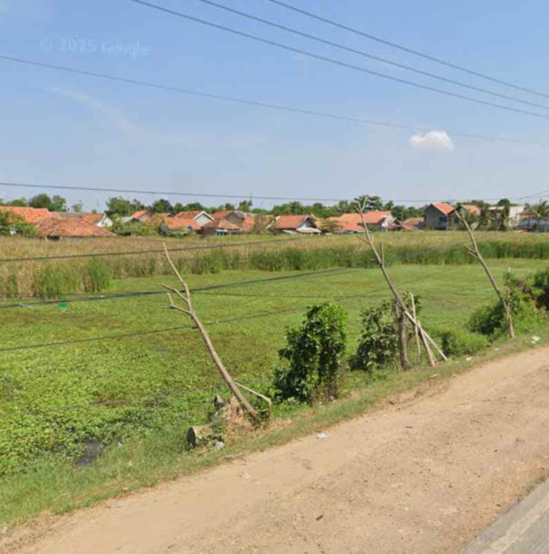 dijual tanah jalan pantura subang
