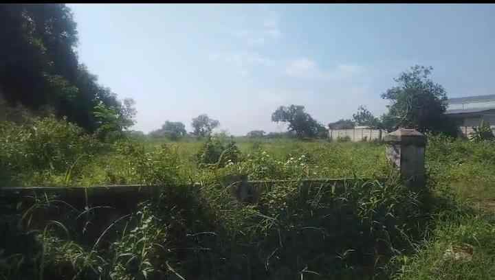 dijual tanah jalan raya kalijati purwadadi