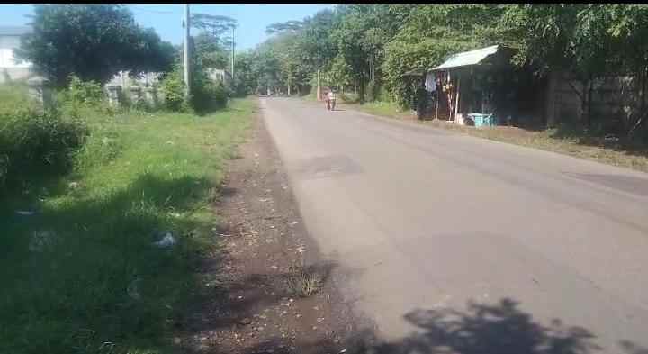 dijual tanah jalan raya kalijati purwadadi