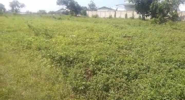 dijual tanah jalan raya kalijati purwadadi