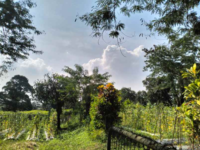 dijual tanah jalan terobosan gunung