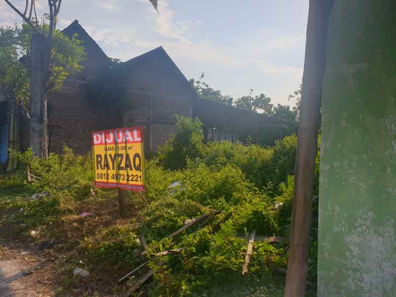 dijual tanah jalan teuku umar pasuruan