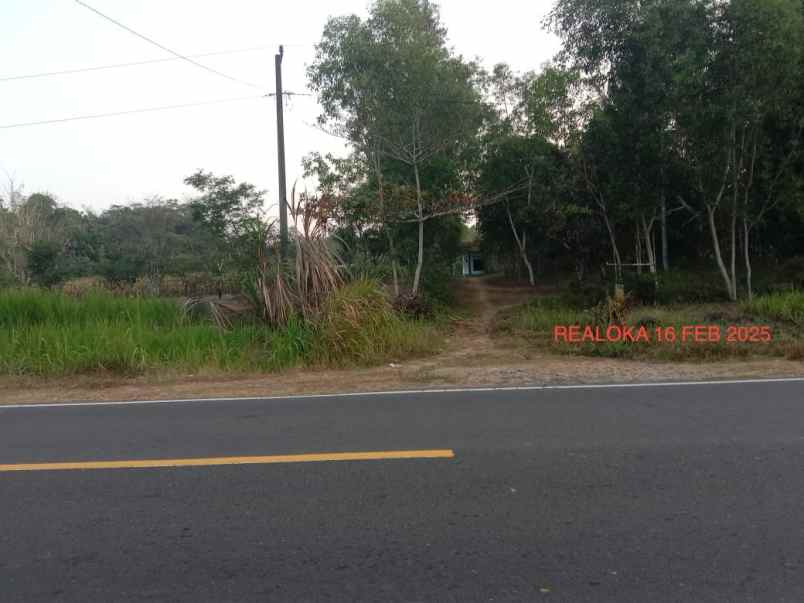 dijual tanah jalur pantai selatan jawa