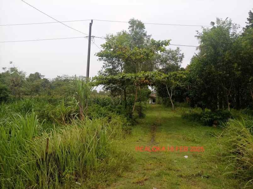 dijual tanah jalur pantai selatan jawa