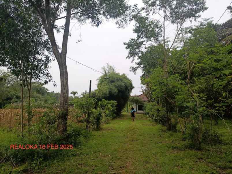 dijual tanah jalur pantai selatan jawa