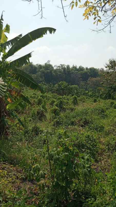 dijual tanah jl bangkingan kec surabaya