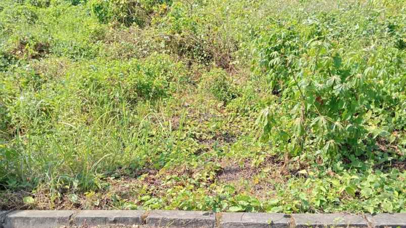 dijual tanah jl bangkingan kec surabaya