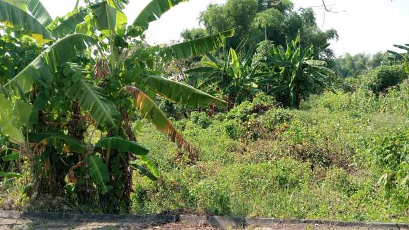 dijual tanah jl bangkingan kec surabaya