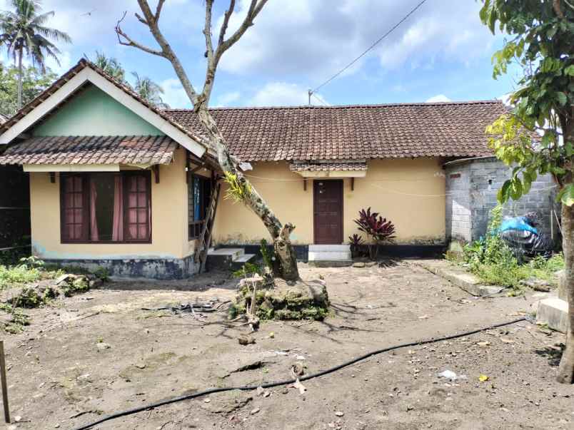 dijual tanah jl desa gambiran area