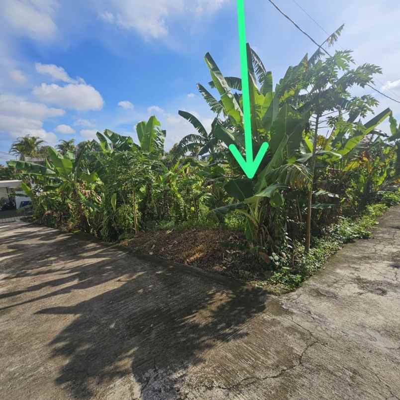 dijual tanah jl gn batukaro