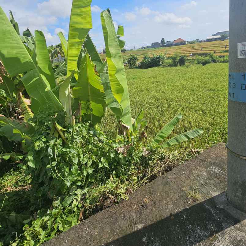 dijual tanah jl gn batukaro