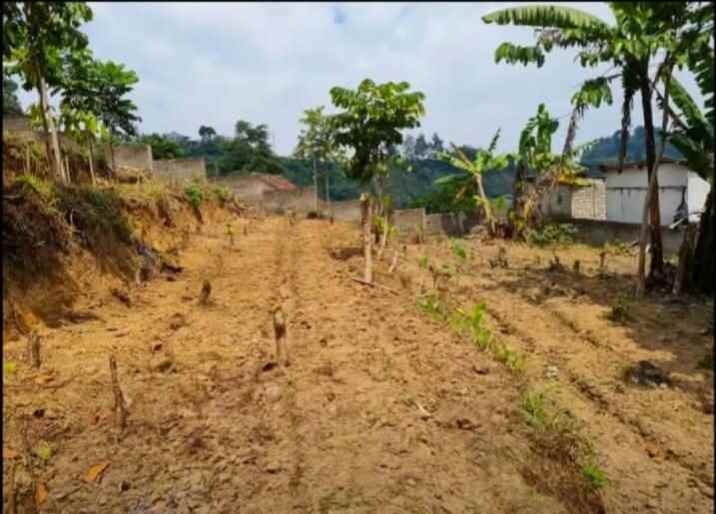 dijual tanah jl kol masturi