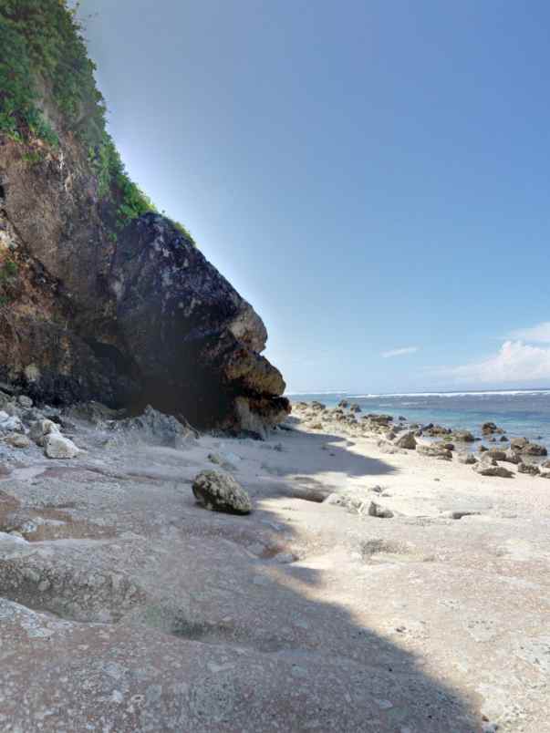 dijual tanah jl pura batu pageh