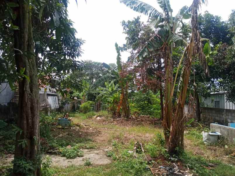 dijual tanah jl raya puspitek muncul