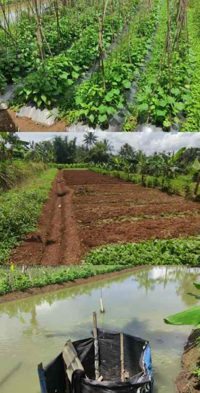 dijual tanah jl sindanglengo desa