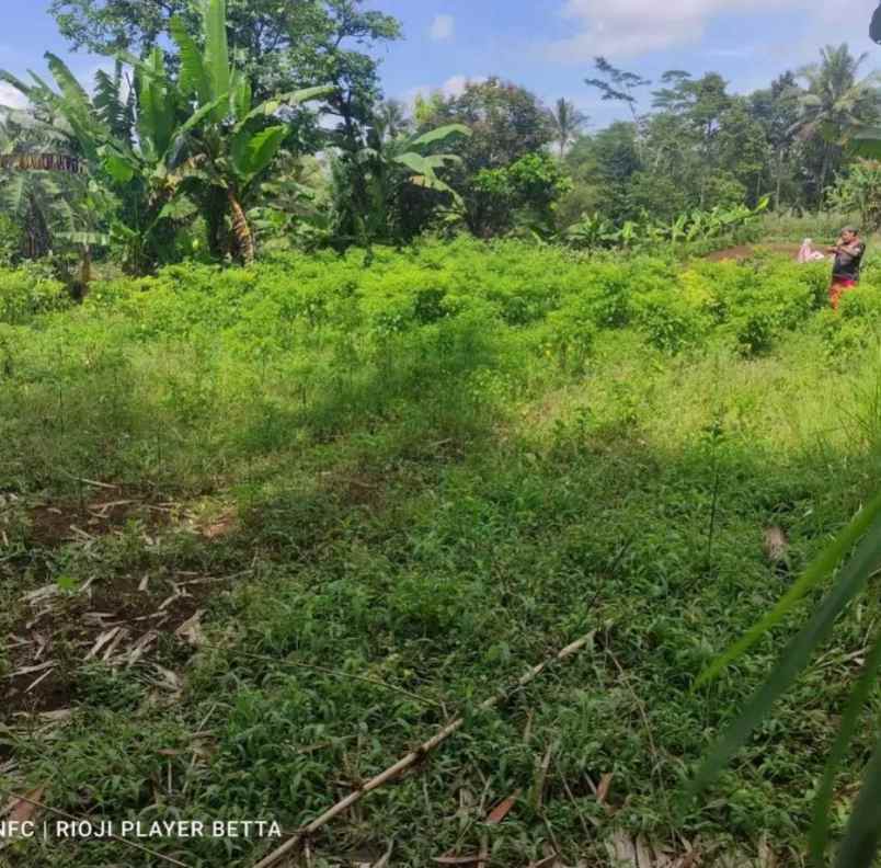 dijual tanah jl sindanglengo desa
