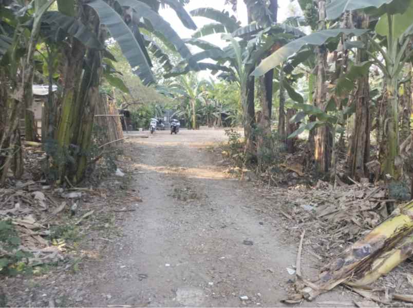 dijual tanah kalibata pancoran jakarta