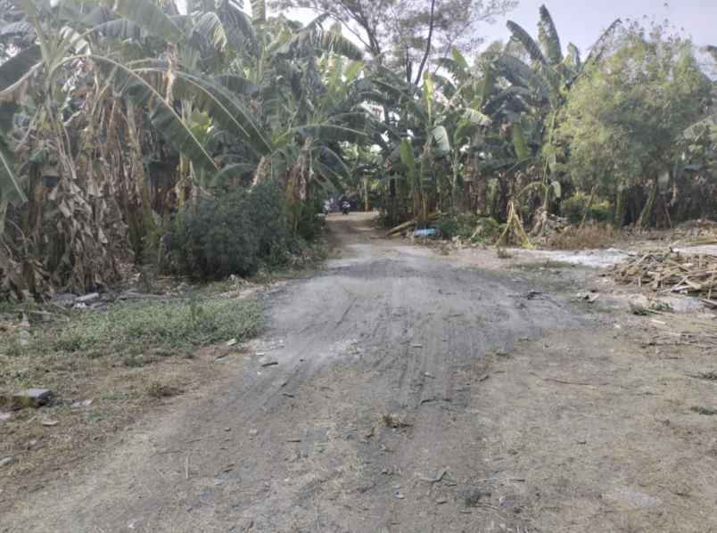 dijual tanah kalibata pancoran jakarta