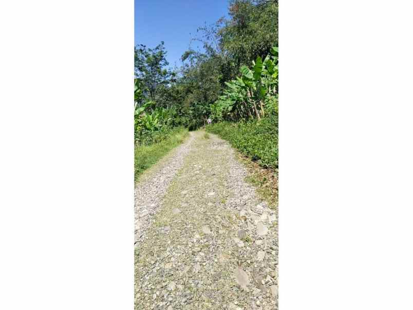 dijual tanah kampung cibadak tanjung