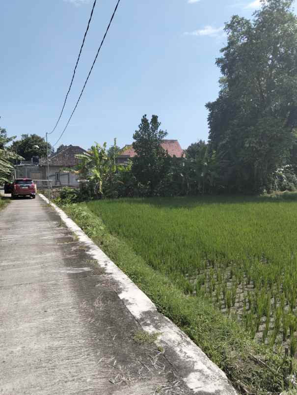 dijual tanah kebondalem madurejo