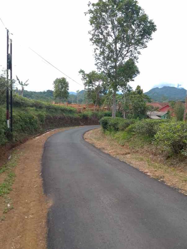 dijual tanah kebun produktif