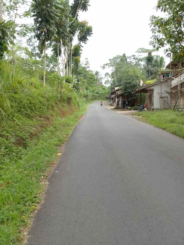 dijual tanah kebun produktif pinggir jalan raya