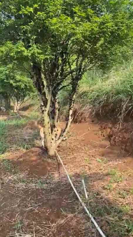 dijual tanah kec parungkuda kab sukabumi