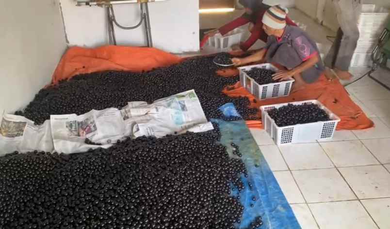 dijual tanah kec parungkuda kab sukabumi