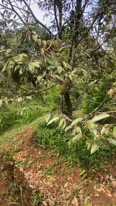 dijual tanah kec parungkuda kab sukabumi