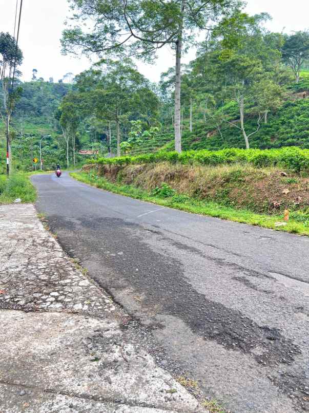 dijual tanah kemuning ngargoyoso