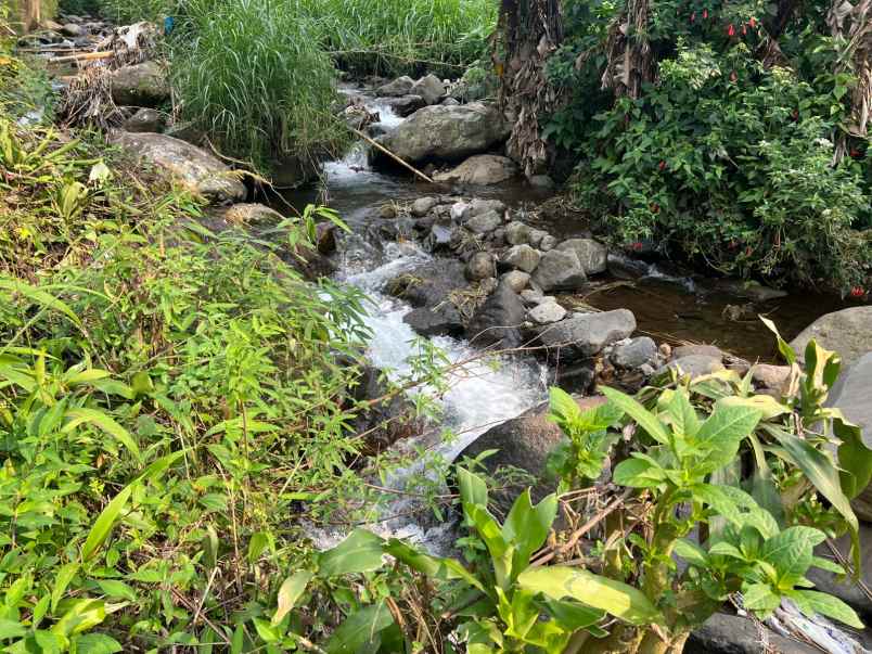 dijual tanah kemuning ngargoyoso