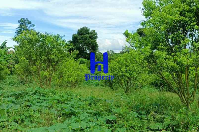 dijual tanah kosong daerah karo desa